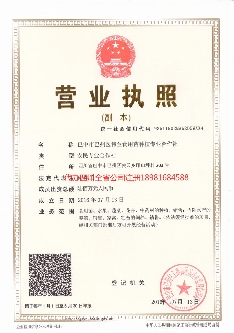 德阳德阳伟兰食用菌种植专业合作社